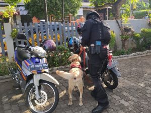 Timsus Harimau Ajak K 9 Sterilisasi Gereja, Beri Rasa Nyaman Jemaat Natal