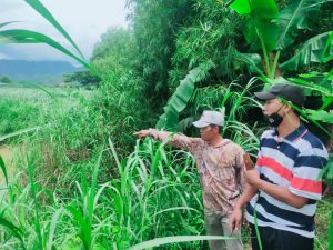 Niat Cari Biawak, Pemuda Pemuda Asal Giriwoyo Ditemukan Tak Bernyawa, Jajaran Polsek Evakuasi Jenazah Ke Rumah Duka