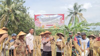 Dukung Ketahanan Pangan Nasional, Polres Wonogiri Gelar Panen Raya Jagung Serentak Tahap 1